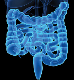 ormoni intestinali chirurgia bariatrica